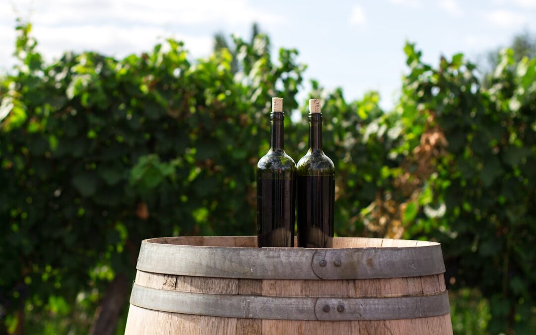 Waiheke’s Wine Producers: A Taste of Island Elegance